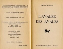 1 C Avalee-pirate