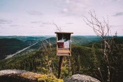 En cas d'urgence, lisez