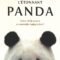 171-Barrette_panda_MultiMondes WEB