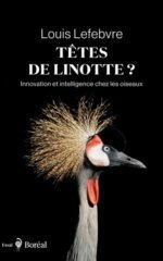 173 EQ Lefebvre_Tetes-de-linotte_WEB